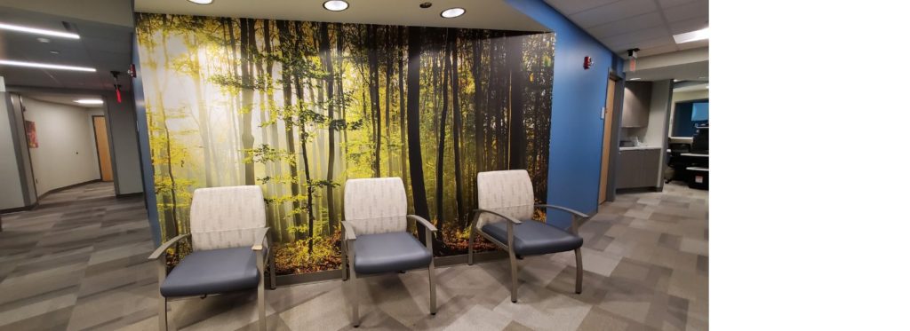 Example of biophilic artwork in healthcare. Large-scale printed adhesive wall panel of a beautiful forest image.