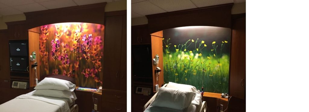 Example of Biophilic Design Principles in Women's Labor and Delivery Room using purple and green flower adhesive wall graphics.