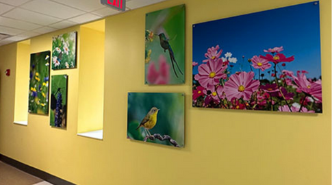 BMG Children's Oncology