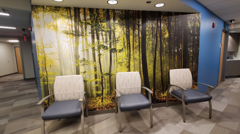 4 Ways to Incorporate Biophilic Artwork in Healthcare