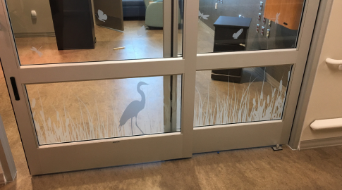 Adding a Touch of Nature to Peds ED