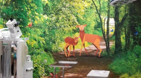 "Evidence Based Design - What, Why, & How" Webinar