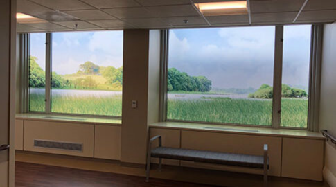 Pursuing Hospitality through Biophilic Design