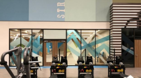 OleeVue Custom Glass Window Film