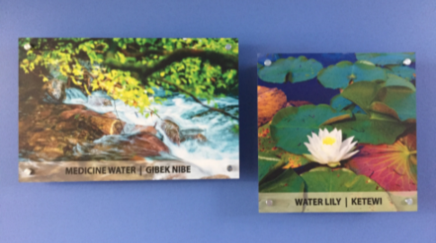 Healing Art in Healthcare Inspired by Local Culture