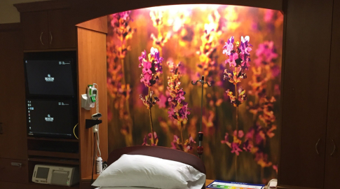 3 Biophilic Design Principles You Should Consider For a Built Environment